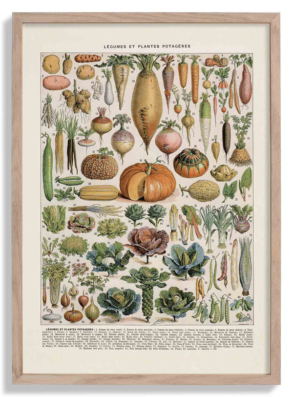 LÉGUMES etES POTAGÈRES