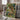 Lost Jungle Place With Peacocks 2 by Andrea Haase - Kuriosis Fine Art GmbH