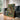 Lost Jungle Place With Peacocks 2 by Andrea Haase - Kuriosis Fine Art GmbH