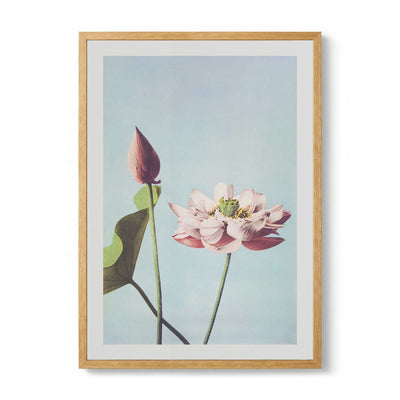 Lotus Flower von Ogawa Kazumasa