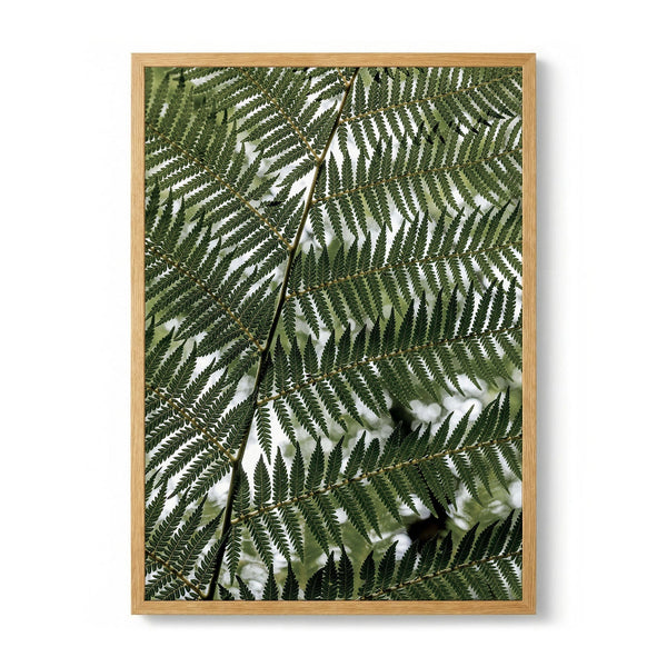 Lush Green Fern by Mareike Bohmer