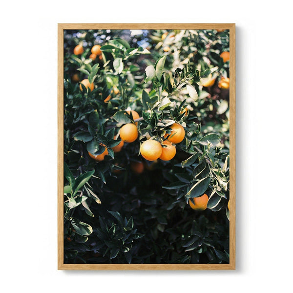 Marrakesh Oranges by Raisa Zwart
