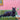 Martini Cat on Couch by The Art Concept - Kuriosis Fine Art GmbH
