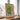 Matisse museum poster by Treechild - Kuriosis Fine Art GmbH