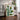 Modern Green Botanical by Annick - Kuriosis Fine Art GmbH