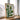 Modern Green Botanical by Annick - Kuriosis Fine Art GmbH