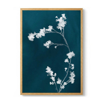 Monograph Blue Flowers di amini54