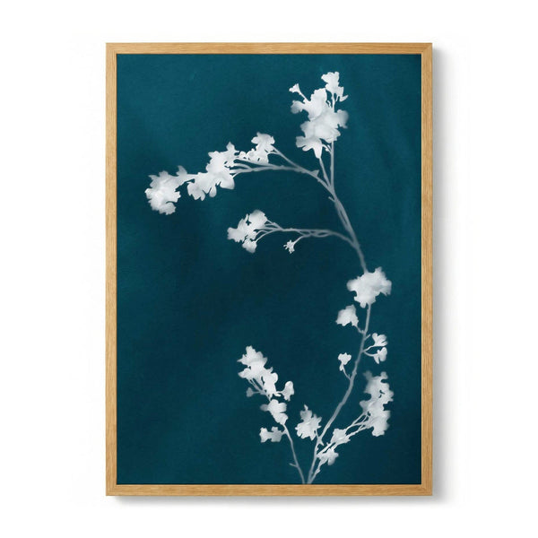Monograph Blue Flowers di amini54