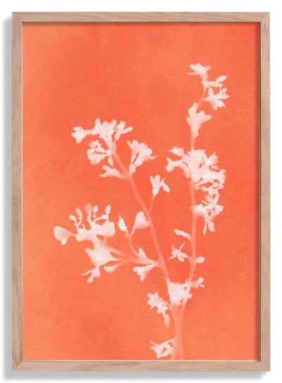 Monograph Orange Flowers door amini54