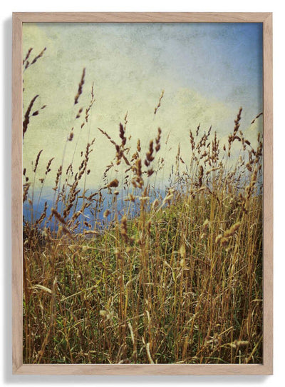 Mountain Grass door Angelo Cerantola