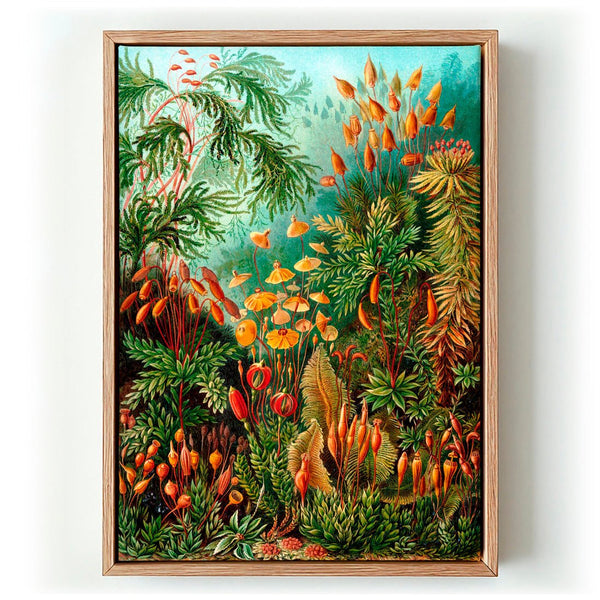 Mushroom Forest Print von Ernst Haeckel