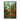 Mushroom Forest Print by Ernst Haeckel - Kuriosis Fine Art GmbH