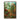 Mushroom Forest Print by Ernst Haeckel - Kuriosis Fine Art GmbH