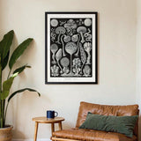 Mycetozoa von Ernst Haeckel – Kuriosis Fine Art GmbH