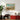 Nature in Ascending Regions Educational - Kuriosis Fine Art GmbH
