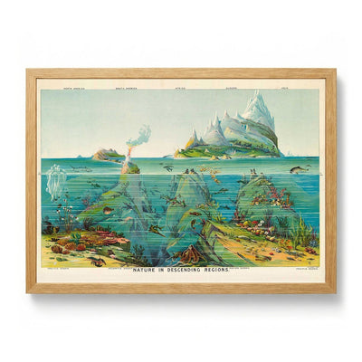 Nature in descending Regions Educational Vintage