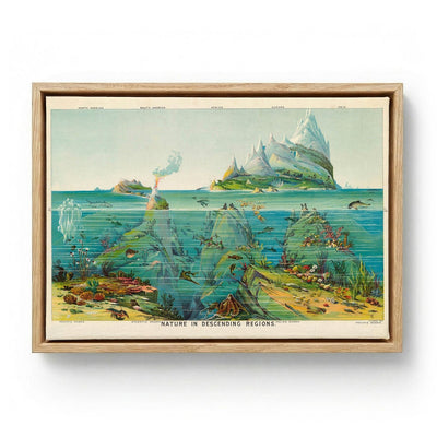Nature in descending Regions Educational Vintage
