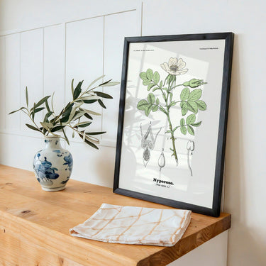 Nyperose - Rosa canina L. by Olaf Alfred Hoffstad - Kuriosis Fine Art GmbH