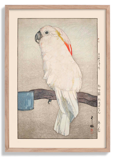Obatan omu Obatan parrot 1926 par Hiroshi Yoshida