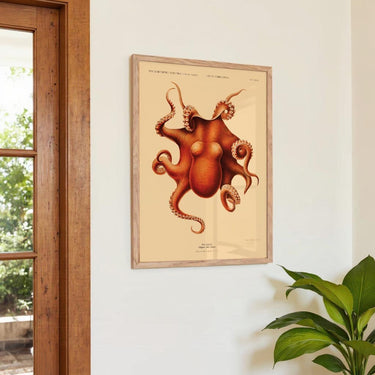 Octopus Polypus - Kuriosis Fine Art GmbH