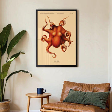 Octopus Polypus - Kuriosis Fine Art GmbH