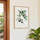 Olive Tree - Kuriosis Fine Art GmbH