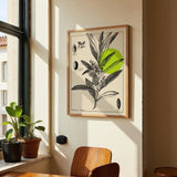 Olive Tree Antique - Kuriosis Fine Art GmbH