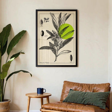 Olivenbaum Antik - Kuriosis Fine Art GmbH