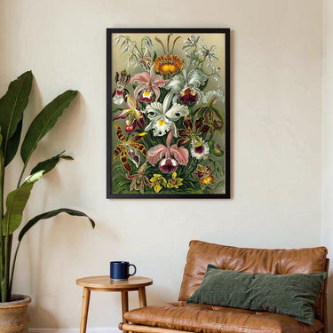 Orchideae Lilly Flowers von Ernst Haeckel – Kuriosis Fine Art GmbH