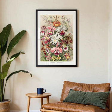 Orchideae Lilly Flowers von Ernst Haeckel mit Rand - Kuriosis Fine Art GmbH