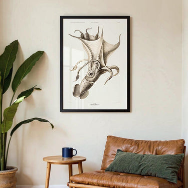 Pale Squid - Kuriosis Fine Art GmbH