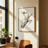 Pale Squid - Kuriosis Fine Art GmbH