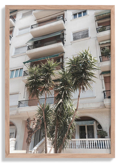 Palm Family door Andrea Schindler