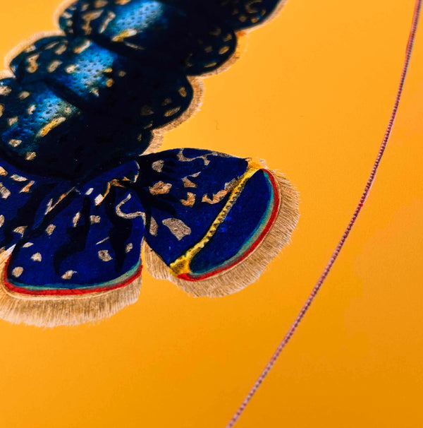 Fine Art Paper — Sharp & Modern