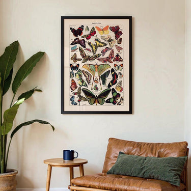 Papillons Larousse - Kuriosis Fine Art GmbH