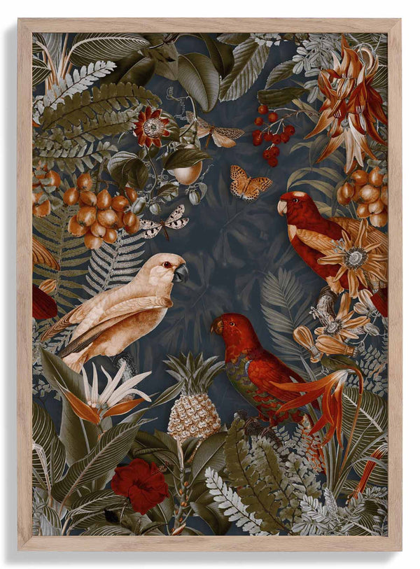 Parrots Midnight Jungle di Andrea Haase
