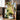 Pass by a Banana Plant by Andrea Schindler - Kuriosis Fine Art GmbH
