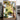 Pass by a Banana Plant by Andrea Schindler - Kuriosis Fine Art GmbH