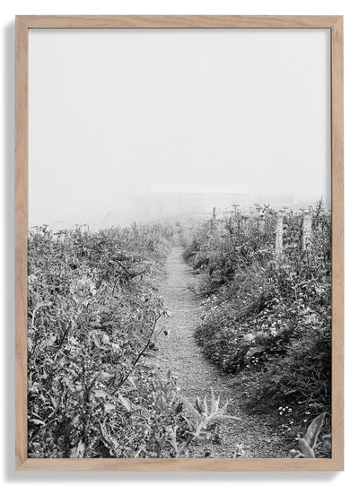 Pathway door Sophie Robinson