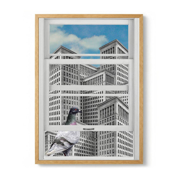 Pigeon City Gaze by Marja van den Hurk