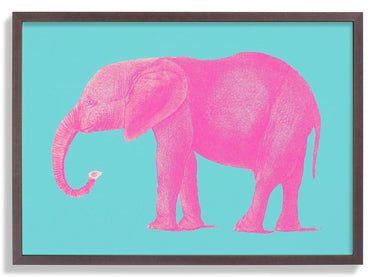 Pink Elephant Animal - Kuriosis Fine Art GmbH