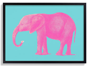 Pink Elephant Animal - Kuriosis Fine Art GmbH