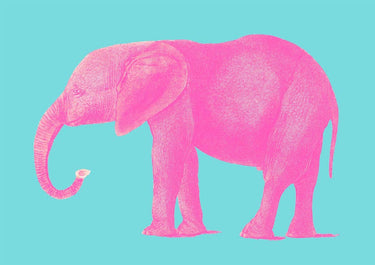 Pink Elephant Animal - Kuriosis Fine Art GmbH