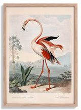 Pink Flamingo - Kuriosis Fine Art GmbH