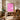 Pink More Amor Please by Baroo Bloom - Kuriosis Fine Art GmbH