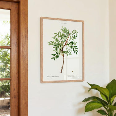 Pistazie - Kuriosis Fine Art GmbH