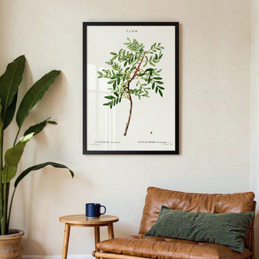 Pistazie - Kuriosis Fine Art GmbH