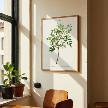 Pistazie - Kuriosis Fine Art GmbH