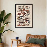 Poissons Fish - Kuriosis Fine Art GmbH