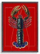 Red Lobster - Kuriosis Fine Art GmbH